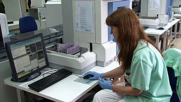 Arranca el estudio de seroprevalencia en 36.000 hogares par conocer el impacto real del coronavirus