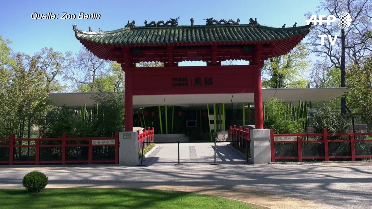 Zoo und Tierpark Berlin öffnen wieder - mit Einschränkungen