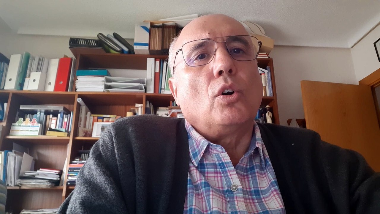 Francisco Botella portavoz SEEN