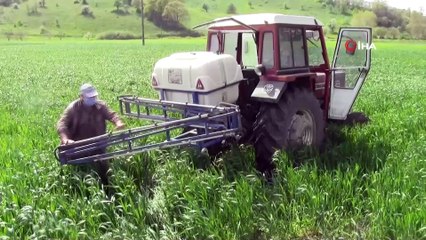 Korona virüse inat bu köyde tarım ve hayvancılık sürüyor