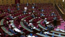 22.04.2020 : Catherine Procaccia interroge le Ministre des Solidarités et de la Santé