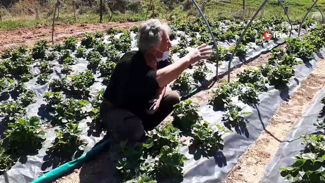 15 yıldır ormanın ortasında organik tarım yaparak geçimini sağlıyor