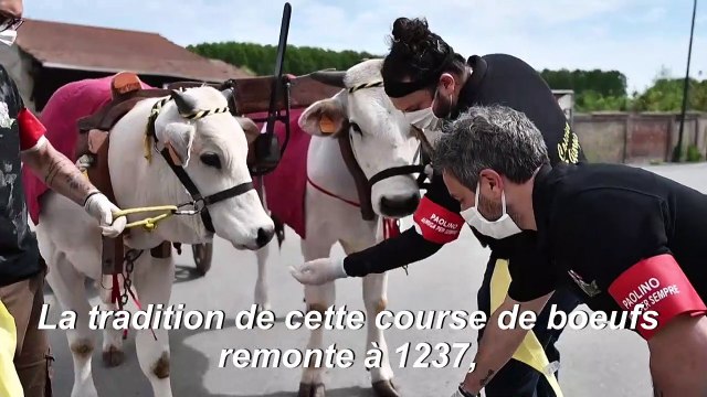 Coronavirus: comme au temps de la peste, les chars à boeufs apportent le pain