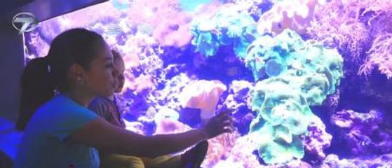 DÜNYAYI GEZİYORUM / TAYVAN 3 - 1 MAYIS 2016