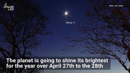 Tonight, Venus Shines the Brightest It’ll Be All Year