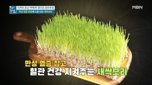 만성 염증 잡고, 혈관 건강 지키는 새싹보리!
