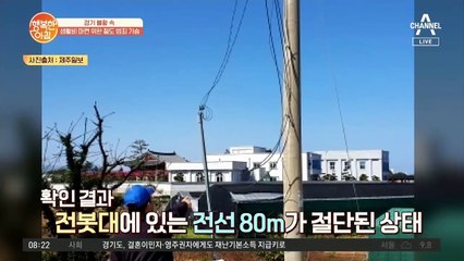 전봇대에 있는 전선 80m 유실, 알고 보니 전선이 도난당했다?