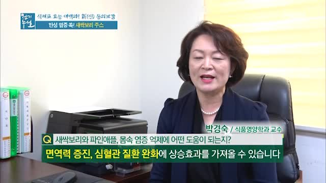 혈관 건강 지키는 새싹보리 활용법 ②