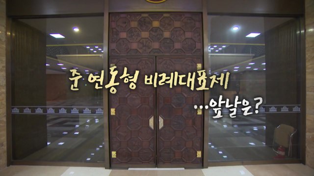 [영상] 준 연동형 비례대표제...앞날은? / YTN