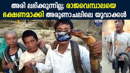 Arunachal Youth Catches king cobra | Oneindia Malayalam