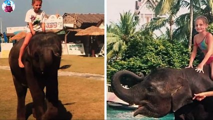 Top Peoples Saved By Animals_2020_Viral Video