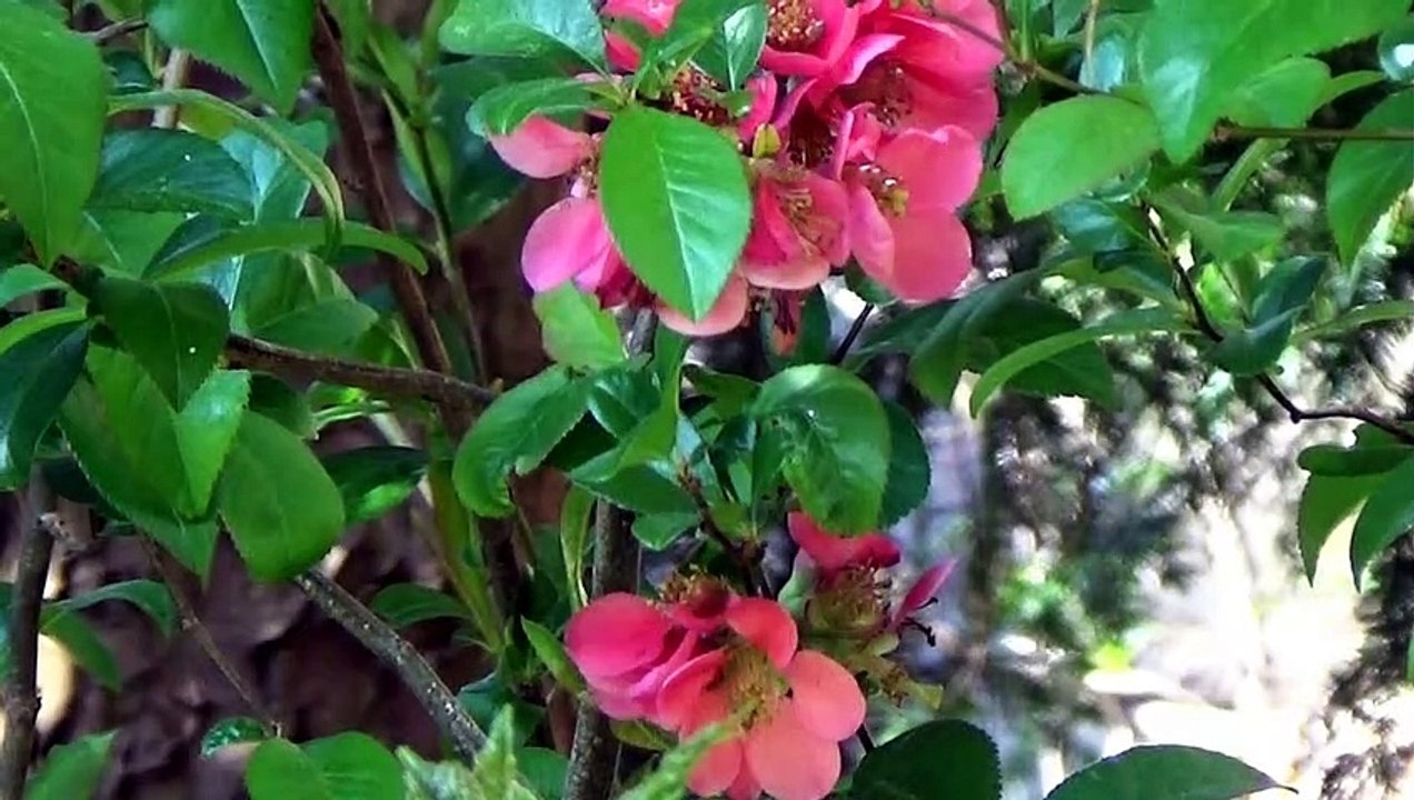 Ostern im Grohbachtal