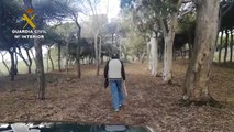 Guardia Civil sorprende en Isla Cristina a dos personas paseando