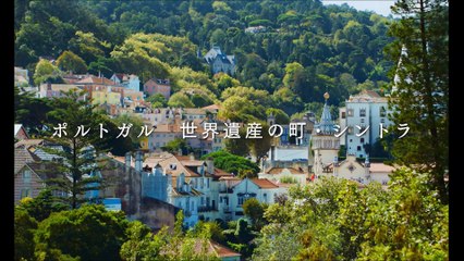 映画『ポルトガル、夏の終わり』