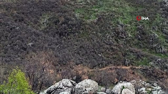 PKK'lı teröristler tarafından araziye tuzaklanan patlayıcı böyle imha edildi