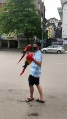 Just entertainment ,