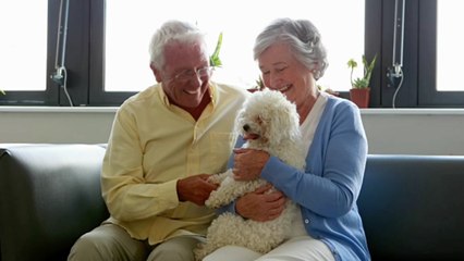 Diese 5 Hunderassen sind besonders gut für Senioren geeignet