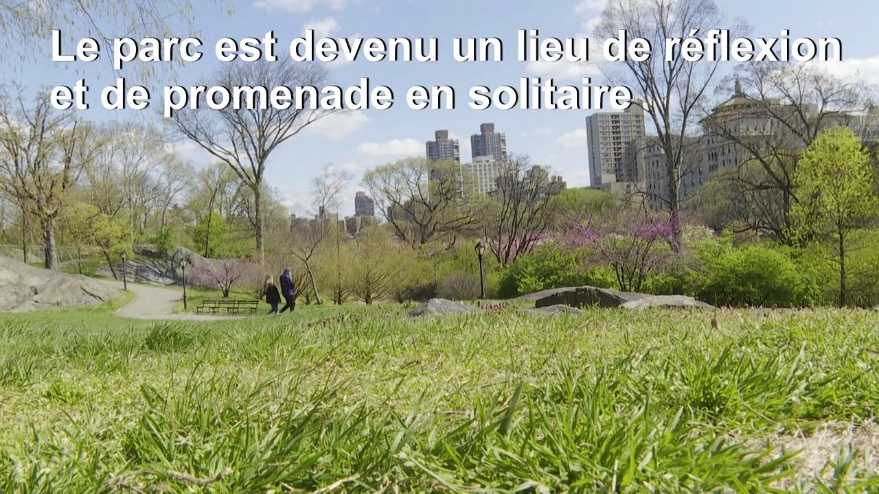 Pendant le confinement, Central Park aide les New-Yorkais à rester "sains d'esprit"