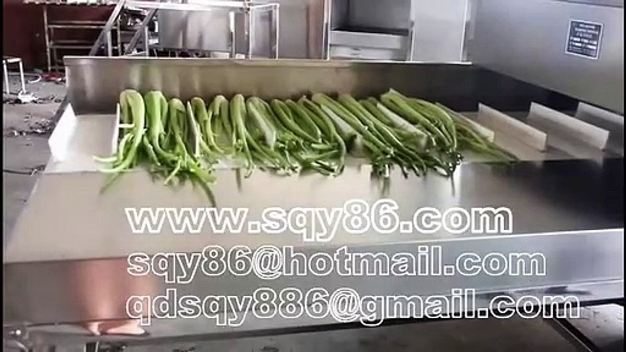 304 Stainless Steel Celery Sticks Stalks Cutting Machine