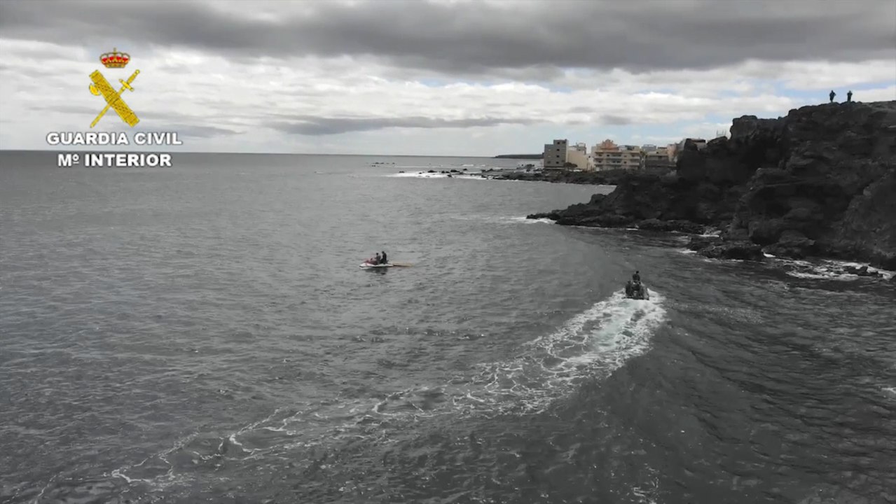 Localizados 12 perros muertos en el barranco del Río