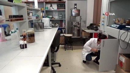 Korona virüse tedbir amaçlı 'Propolis' öneriliyor