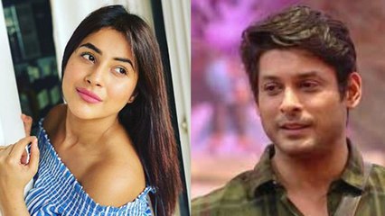 Shehnaz Gill ने अपनी नई फोटो में Siddharth Shukla को निहारा, फैन्स ने बोला ये | FilmiBeat