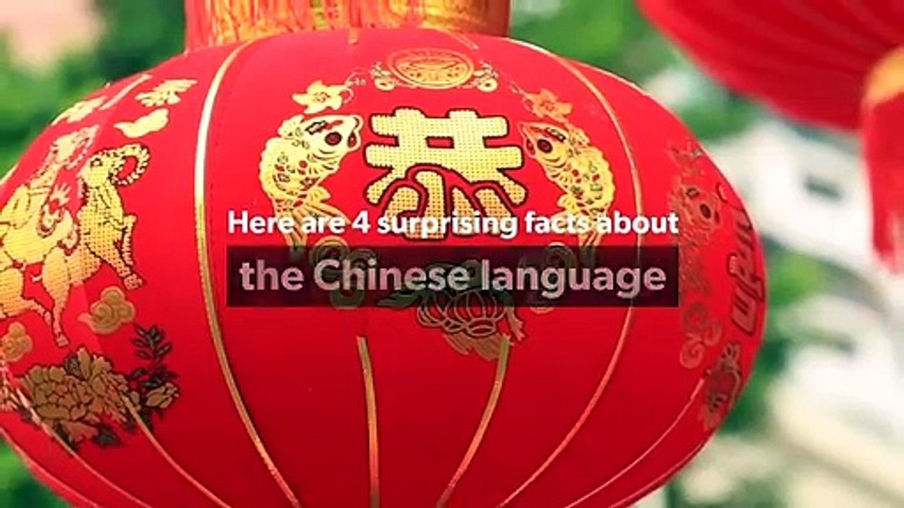 Chinese Language Day _ 20th April _ Stay At Home _ Seed Processing, Packing, Storage _ Jam Jam Group