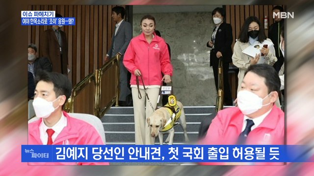 MBN 뉴스파이터-김예지 당선인 안내견 '조이' 국회 출입 허용될 듯