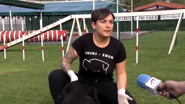 Los perros también sufren estrés durante las restricciones del estado de alarma