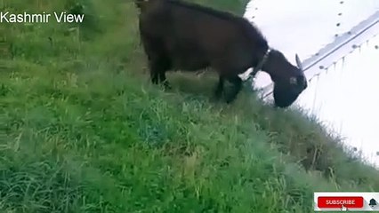 Osam view of valley in morning time