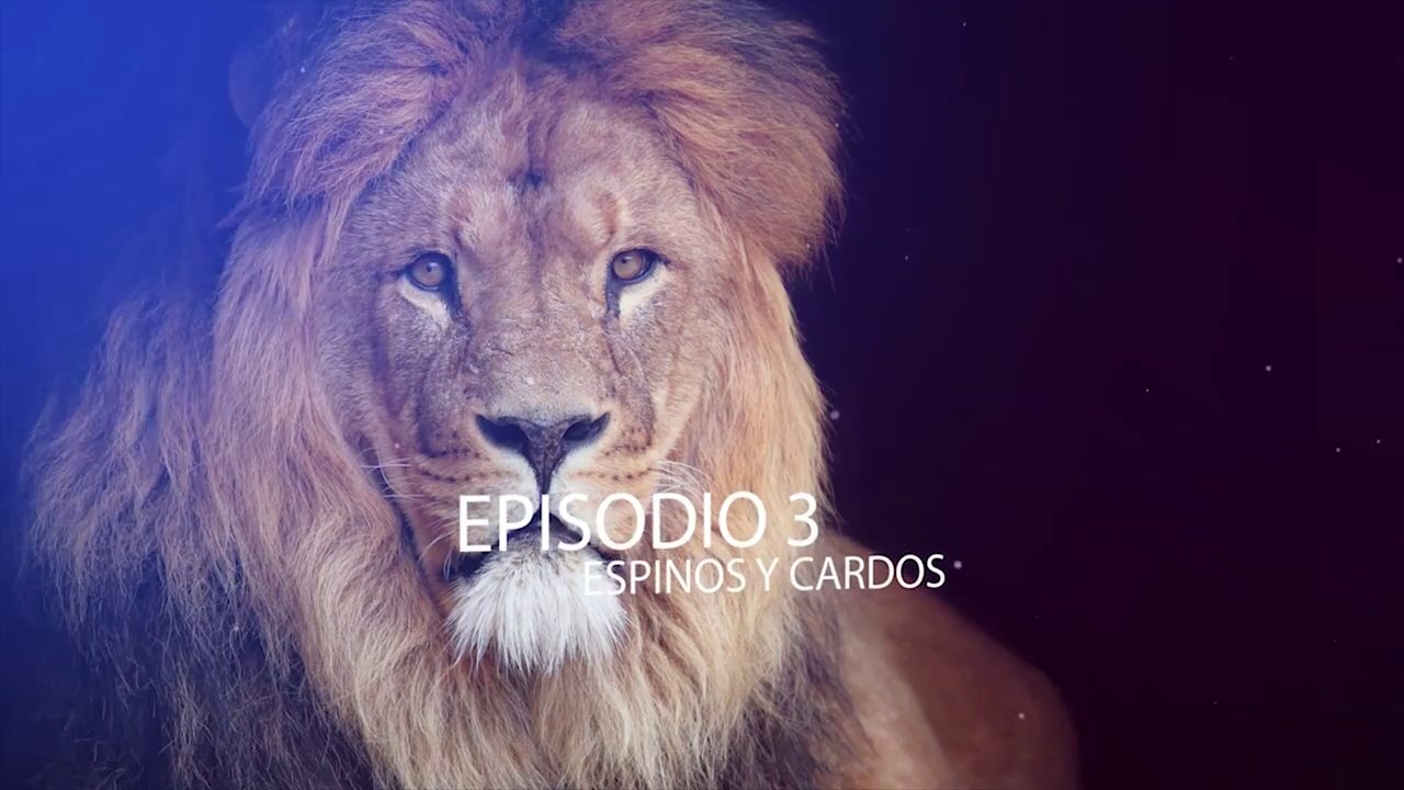 SERIE EL ACTA EPISODIO 3 - ESPINOS Y CARDOS