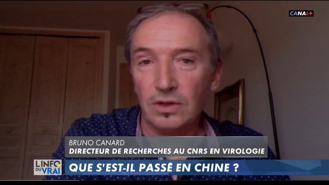 Bruno Canard, directeur de recherche au CNRS en virologie s'exprime sur la gestion du virus en Chine