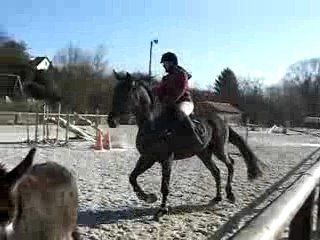 1er cours avec Quolibri