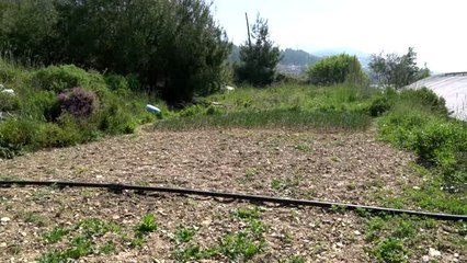 Çapa makinesine ayağını kaptıran çiftçiyle müdahale eden eşi yaralandı