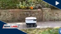 GLOBAL NEWS: CoVID-19 could be robots' time to shine