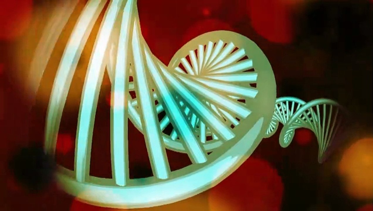 Videografik: So wird eine Corona-Infektion festgestellt