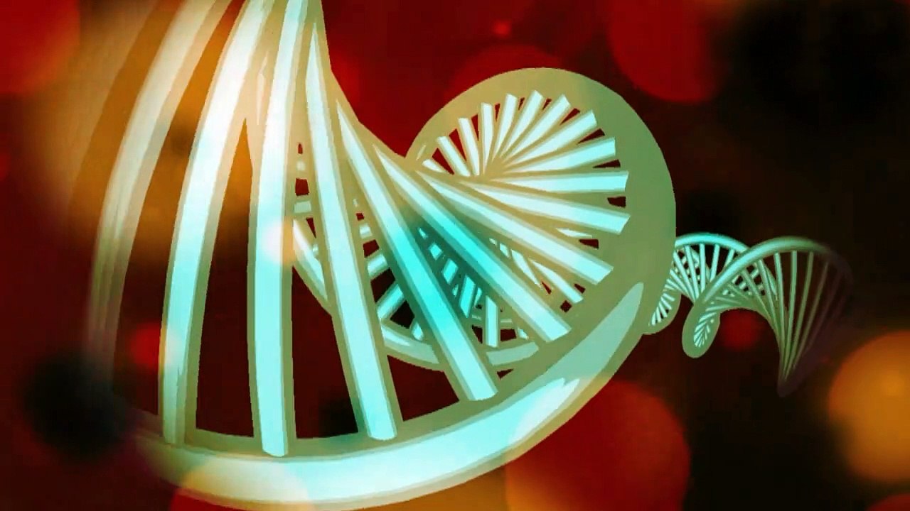 Videografik: So wird eine Corona-Infektion festgestellt