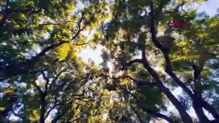 İşte Türk yapımı entübe cihazları