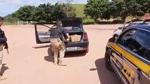 PRF apreende veículos carregados de maconha no ES