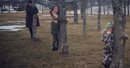 Le service forestier islandais conseille d'étreindre les arbres pour obtenir du réconfort pendant le confinement