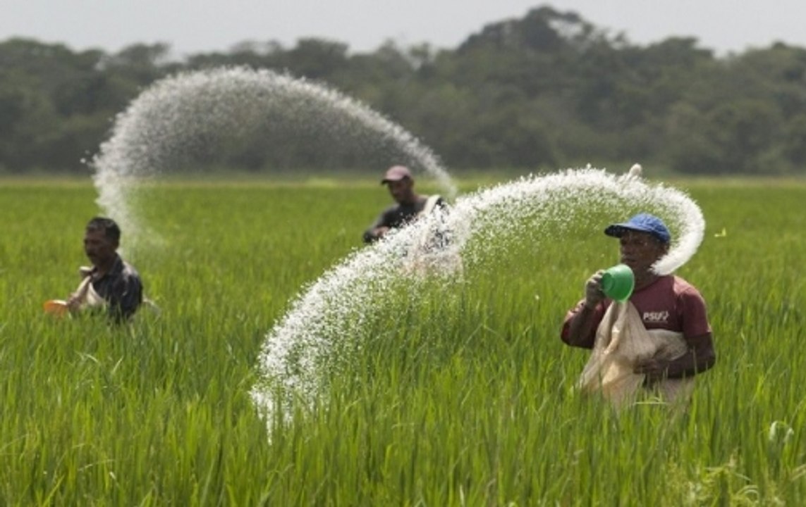 Chunav Lie Detector: Is BJP deceiving farmers in name of cash dole?