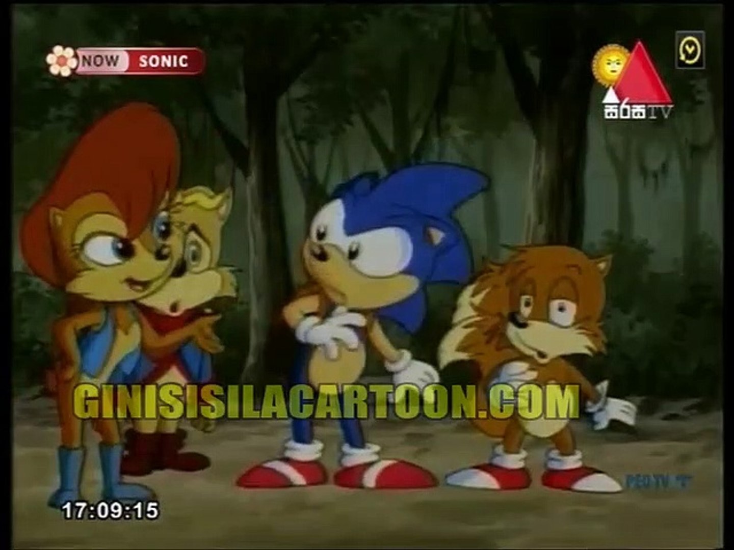 Sonic 15