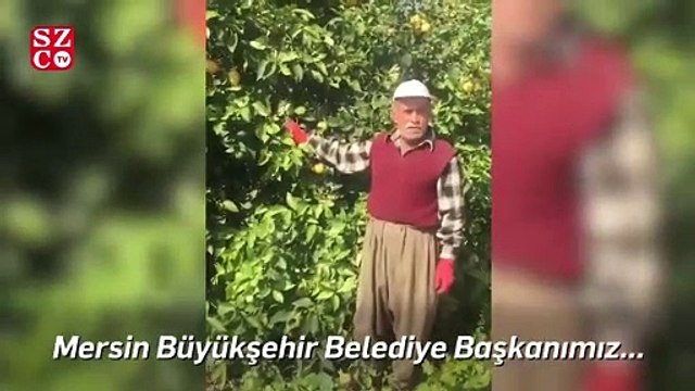 İBB, Mersinli çiftçiden alınan 100 ton limonu ihtiyaç sahiplerine ücretsiz dağıtacak