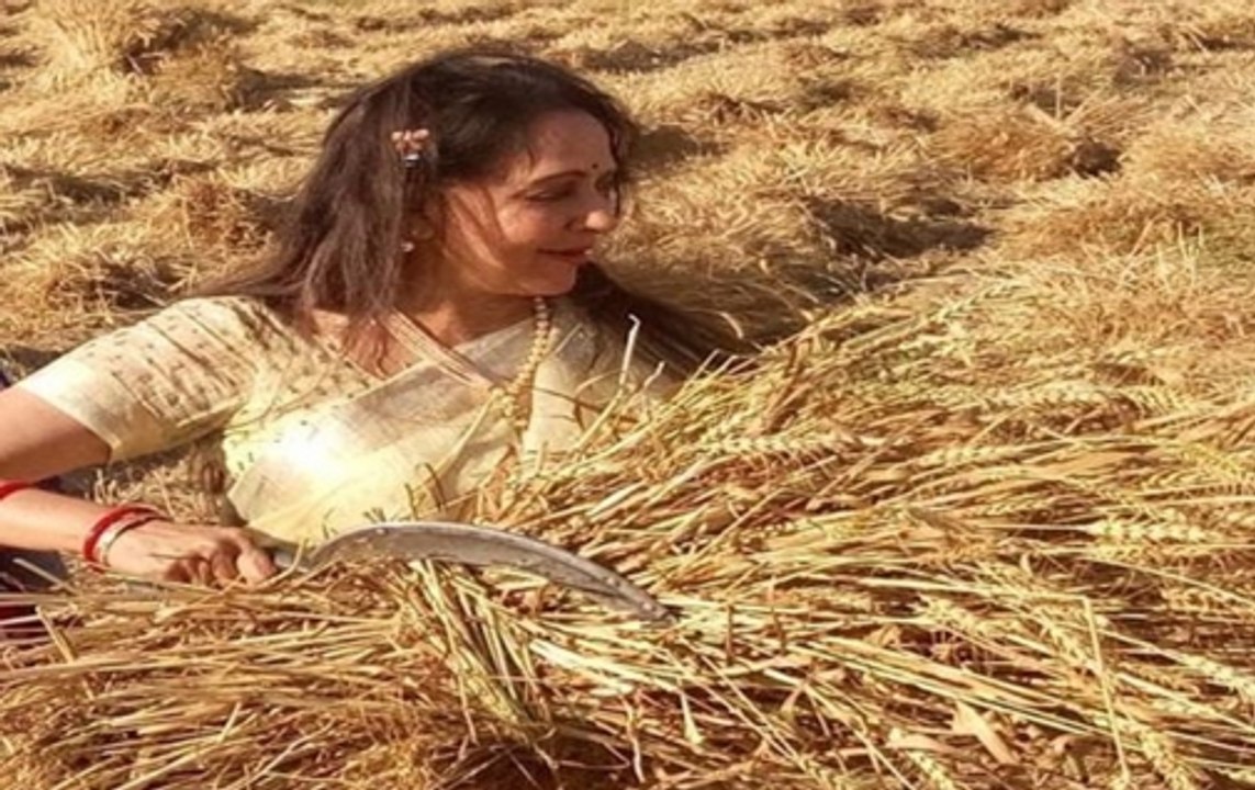 Hema Malini kick-starts poll campaign by harves...