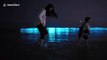 Glowing 'blue tears' phenomenon illuminates Chinese sea