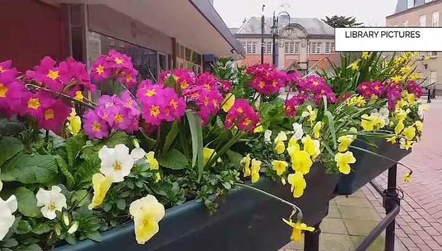 Existing health conditions?