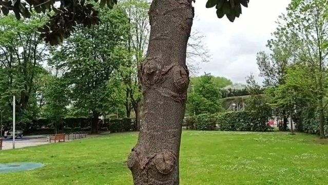 Los parques donostiarras vacíos por el confinamiento infantil