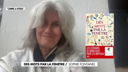 Des mots par la fenêtre : Sophie Fontanel - Clique - CANAL+