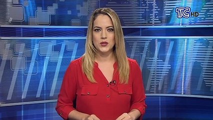 El ministro de Energía comparece al momento de manera virtual ante el Parlamento