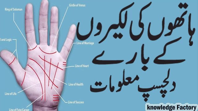 Palmistry Basics learn palmistry in urdu Hindi | palmistry,learn palmistry,palmistry reading,palmistry basics,palmistry in hindi,palmistry in urdu,palmistry basics learn,fate line palmistry,money line in palmistry,money line in palmistry in hindi